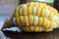 実家で取れた変わった形のトウモロコシ、もう『あの動物』にしか見えない!