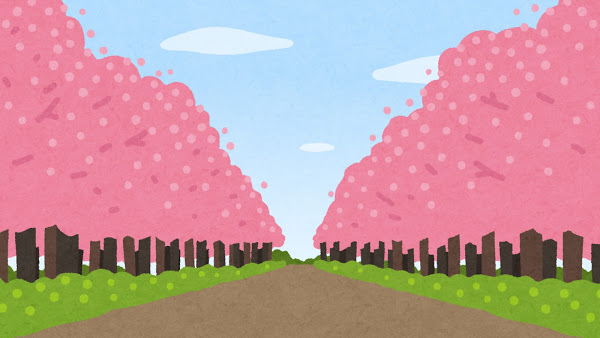 桜並木