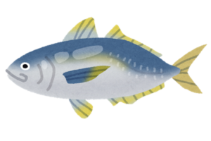 ロウニンアジってどんな味？毒があって食べれない？名前の由来は？