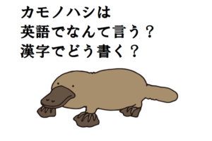 「カモノハシ」って英語や漢字ではどう書くの？ほ乳類なのに卵から生まれる謎の生態も紹介