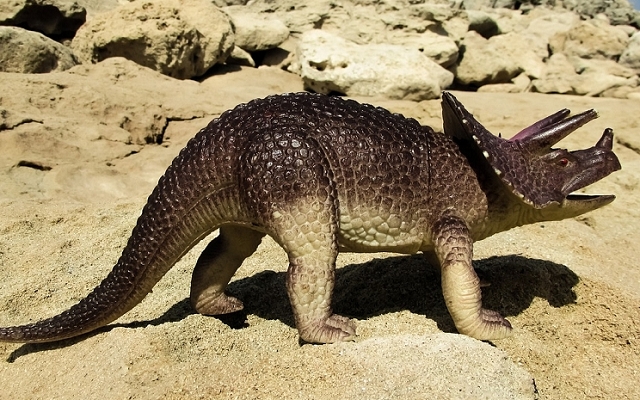 トリケラトプス