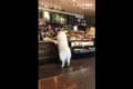 スタバのレジで行儀よく並んだ後、メニューをオーダー!?するワンコが可愛らしい♪