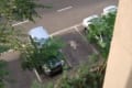 家の近くの駐車場で完璧に駐車?!しているワンコが話題に!「他の車よりも駐車がうまいな」