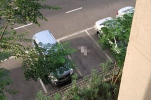 家の近くの駐車場で完璧に駐車？！しているワンコが話題に！「他の車よりも駐車がうまいな」