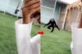 なんて優しくていい子なの!泣き真似している飼い主さんを心配して駆けつけてきたテナガザル。その後見せた行動はなんと・・・!