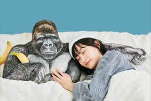 なんという包容力！東山動植物園のイケメンゴリラ「シャバーニ」がたくましい腕枕クッションに！