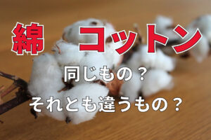 同じじゃないの？「綿」と「コットン」その表記に違いはある？