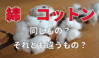 同じじゃないの？「綿」と「コットン」その表記に違いはある？