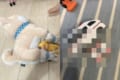 お姉ちゃんのぬいぐるみ遊びを見て導き出した、2歳児の答えがかわいすぎる!!