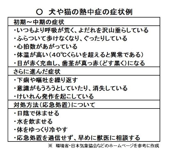nettyuusyou_inuneko