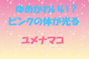 深海に棲むピンクの体で光る「ユメナマコ」がゆめかわいい！？
