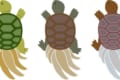 クサガメとミドリガメの寿命はどのくらい?どちらが長い?
