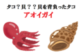 タコなの?それとも貝??貝を背負ったタコ「アオイガイ」