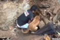 母の愛は偉大!生き埋めになってしまった子犬を必死で救出しようとする母犬の姿に心打たれる