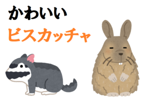 ブサカワ珍獣「ビスカッチャ」はウサギじゃないよ、ネズミだよ！ペットとして飼育できるの？