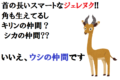 首の長~い動物「ジェレヌク」とはキリン?シカ?いいえウシの仲間です!