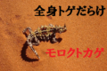モンスターみたいでカッコいい「モロクトカゲ」!日本ではペットにすることも見ることもできない?