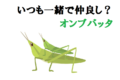 いつも仲良しな夫婦？おんぶ姿がかわいい「オンブバッタ」とはどんな昆虫？