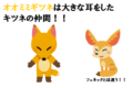 大きい耳をしたオオミミギツネは、大好きな昆虫を捕食するために進化した!