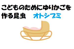 母親がゆりかごを作る優しい昆虫「オトシブミ」とはどんな生き物？