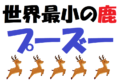 世界最小の鹿「プーズー」とは?ぬいぐるみのような姿を見に動物園に行きたい!