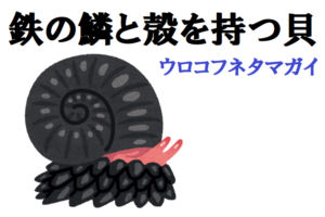 鉄の鱗と殻を持つ貝！ウロコフネタマガイは正に鉄壁！！