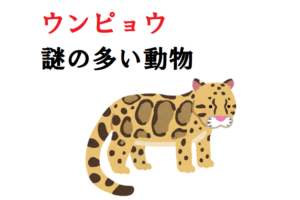 ウンピョウってヒョウ？トラ？アジアに住むネコ科の生き物！日本の動物園で会える！