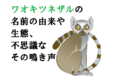 ワオキツネザルの「ワオ」って何?名前の由来や生態、全国の動物園も紹介!