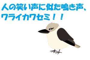 笑っているの？人の笑い声に似た鳴き声を持つ「ワライカワセミ」