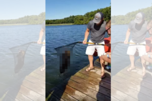 まさかの大物にビックリ！4歳の少女が子供用の釣り竿で釣り上げたのは・・？