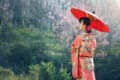 【国歌】君が代の意味を知ってる?元は古今和歌集?国歌となったのは実は最近