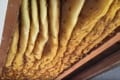 最近家の中にミツバチいるんだけど天井裏に巣でもあるかな?ってこんなデカさありかよ!?