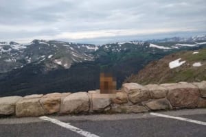 とある動物が、まるで愛を誓い合っているかのような光景に反響「これはプロポーズ？」