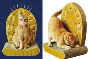 ニャンコがつめをといでくつろぐと、仏様のような尊い姿になる「光背つめとぎ」が面白い！