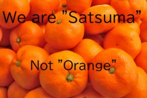 みかんは英語で「Orange」ではなく「Satsuma」ってマジ！？その語源について解説