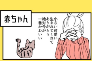 生まれたばかりの赤ちゃんも、子猫も･･･「猫は常に世界一かわいい」に愛猫家から共感の声！