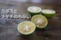 鍋や焼き魚の薬味に使われる「カボス」と「スダチ」、その違いと見分け方は?