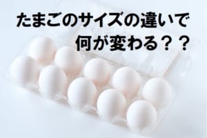 「たまごのサイズ」の秘密に驚愕！サイズで黄身の量は変わらないってホント！？