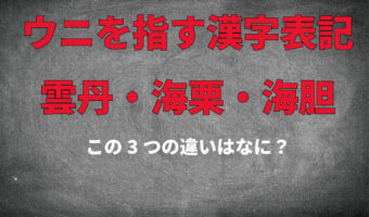 ウニの漢字表記は3種類！「雲丹」「海栗」「海胆」の違いは？その使い分けとは？？