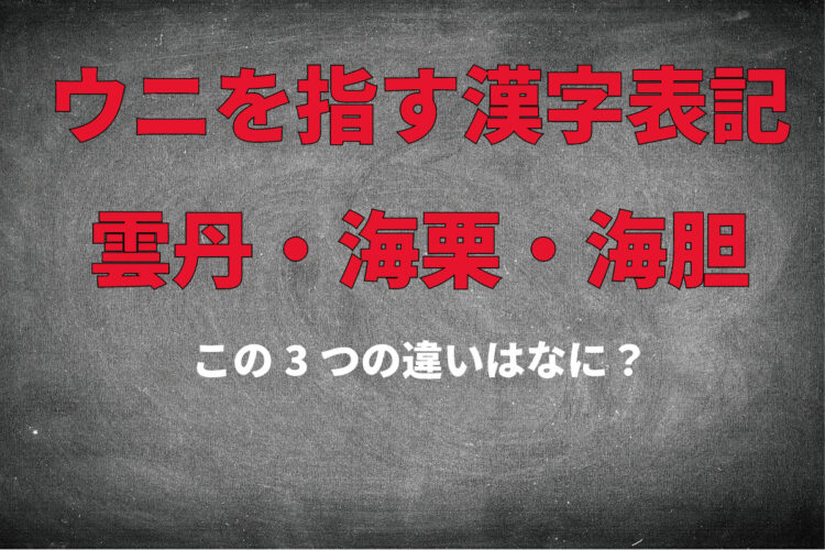 ウニの漢字表記は3種類！「雲丹」「海栗」「海胆」の違いは？その使い分けとは？？