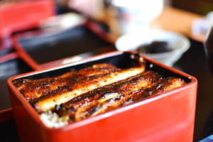 【うなぎ豆知識】うな丼とうな重の違いは器だけ！土用の丑の日にうなぎを食べるのはなんで？！