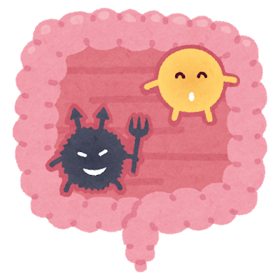 善玉菌と悪玉菌