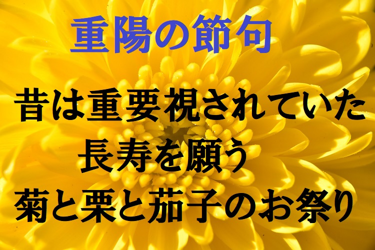 【重陽の節句】耳慣れない五節句のひとつだが、本来は長寿を願う大切な行事だった！！