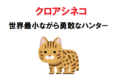 世界最小の猫「クロアシネコ」は勇敢なハンターだった!