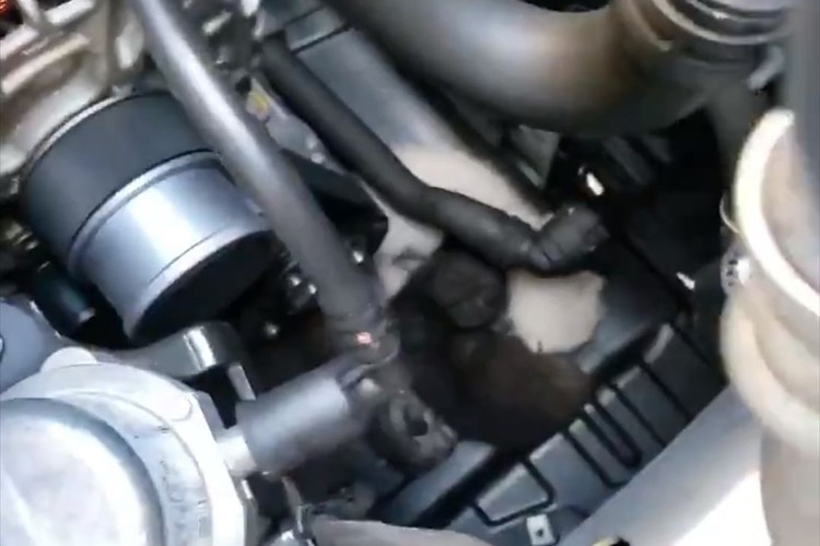 猫バンバンが必要なのは冬だけじゃない!車のボンネットから3匹の子猫が無事に発見される!