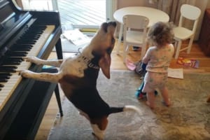 息ぴったりの即興セッションが面白すぎる！ワンコの弾き語りに合わせて女の子がお尻をフリフリ！