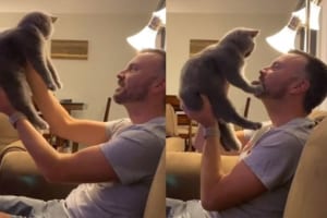 何回試みてもダメ！？男性のキスを徹底して拒み続けるニャンコ。女性が試した場合は・・