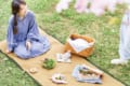ブルーシートはもう卒業!畳柄のレジャーシートでお花見やハイキングを優雅に楽しもう!