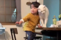 テーブルに上がろうとする子どもを制止するネコ、その姿が完全にプロのシッターさんだった!