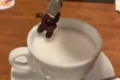 デデンデンデデン!カフェで映えを狙ったら・・・まさかのターミネーター2になってしまった(笑)